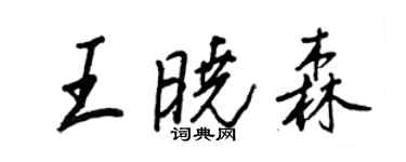 王正良王晓森行书个性签名怎么写