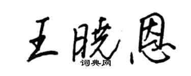 王正良王晓恩行书个性签名怎么写