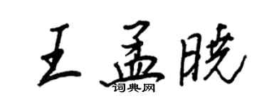 王正良王孟晓行书个性签名怎么写