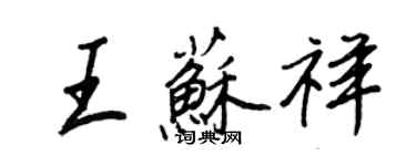 王正良王苏祥行书个性签名怎么写