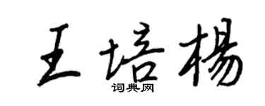 王正良王培杨行书个性签名怎么写