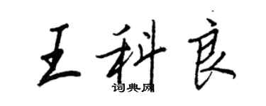 王正良王科良行书个性签名怎么写