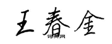 王正良王春金行书个性签名怎么写