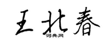 王正良王北春行书个性签名怎么写