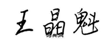 王正良王晶魁行书个性签名怎么写