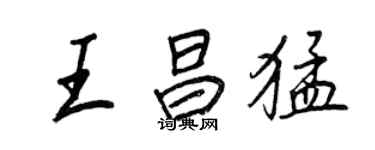 王正良王昌猛行书个性签名怎么写