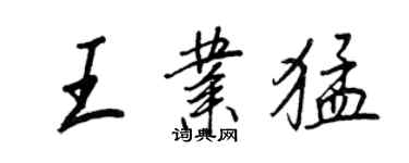 王正良王业猛行书个性签名怎么写