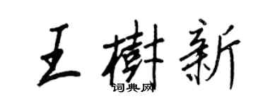 王正良王树新行书个性签名怎么写