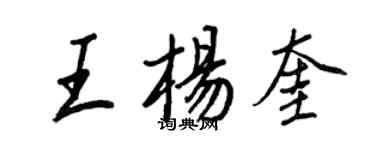 王正良王杨奎行书个性签名怎么写