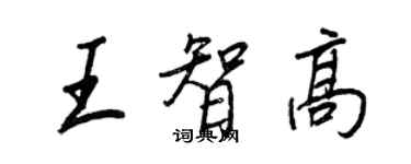王正良王智高行书个性签名怎么写