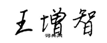 王正良王增智行书个性签名怎么写