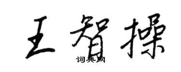 王正良王智操行书个性签名怎么写