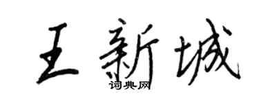 王正良王新城行书个性签名怎么写