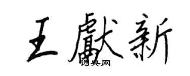 王正良王献新行书个性签名怎么写