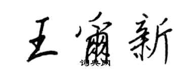 王正良王尔新行书个性签名怎么写