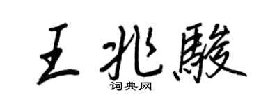 王正良王兆骏行书个性签名怎么写