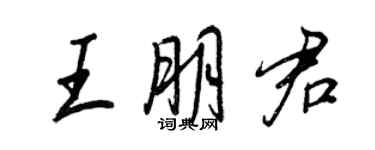 王正良王朋君行书个性签名怎么写