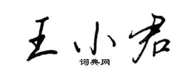 王正良王小君行书个性签名怎么写