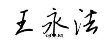 王正良王永法行书个性签名怎么写
