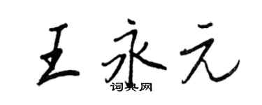 王正良王永元行书个性签名怎么写