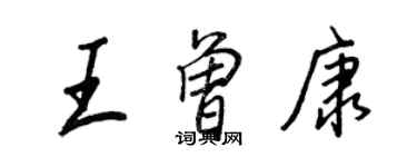 王正良王曾康行书个性签名怎么写