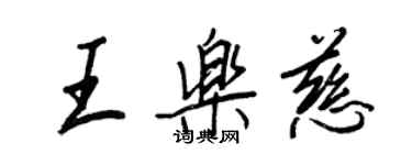 王正良王乐慈行书个性签名怎么写