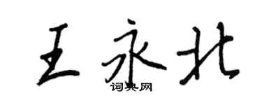 王正良王永北行书个性签名怎么写