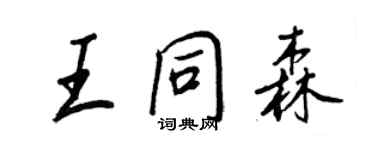 王正良王同森行书个性签名怎么写