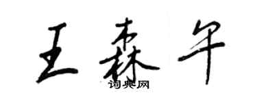 王正良王森午行书个性签名怎么写