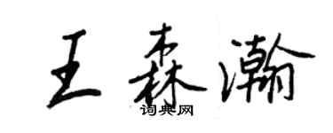王正良王森瀚行书个性签名怎么写