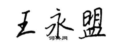 王正良王永盟行书个性签名怎么写