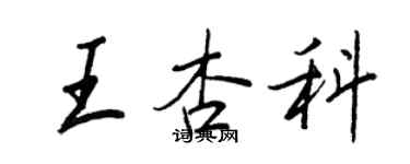 王正良王杏科行书个性签名怎么写