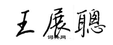 王正良王展聪行书个性签名怎么写