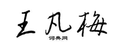 王正良王凡梅行书个性签名怎么写