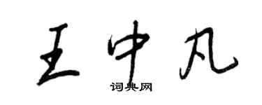 王正良王中凡行书个性签名怎么写