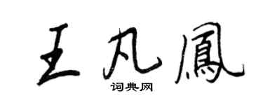 王正良王凡凤行书个性签名怎么写
