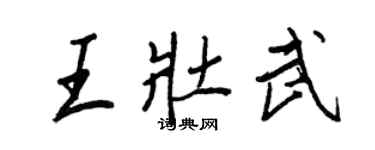 王正良王壮武行书个性签名怎么写