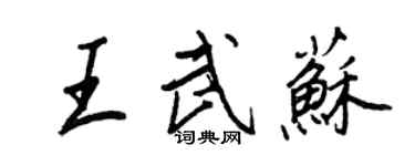 王正良王武苏行书个性签名怎么写