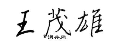 王正良王茂雄行书个性签名怎么写