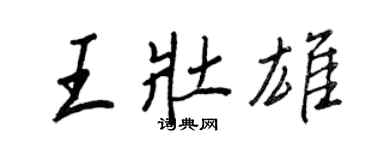王正良王壮雄行书个性签名怎么写