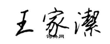 王正良王家洁行书个性签名怎么写