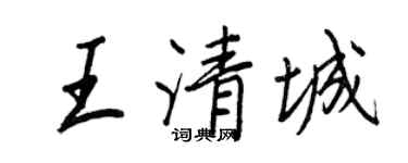 王正良王清城行书个性签名怎么写