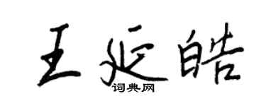 王正良王延皓行书个性签名怎么写