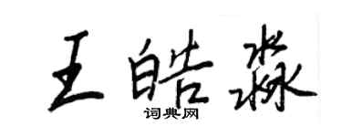 王正良王皓淼行书个性签名怎么写