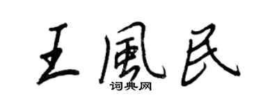 王正良王风民行书个性签名怎么写