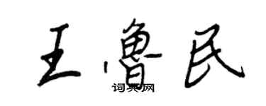 王正良王鲁民行书个性签名怎么写