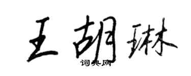 王正良王胡琳行书个性签名怎么写