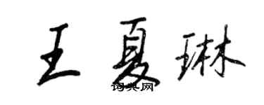 王正良王夏琳行书个性签名怎么写