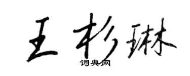 王正良王杉琳行书个性签名怎么写