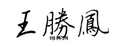 王正良王胜凤行书个性签名怎么写